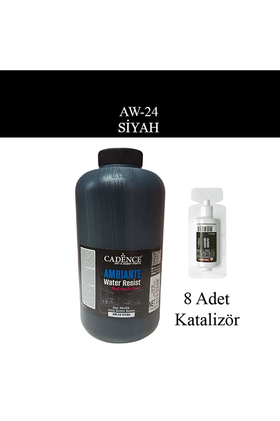 Ambiante Suya Dayanıklı Islak Zemin Boyası aw-24 Siyah 2 Litre + Katalizör