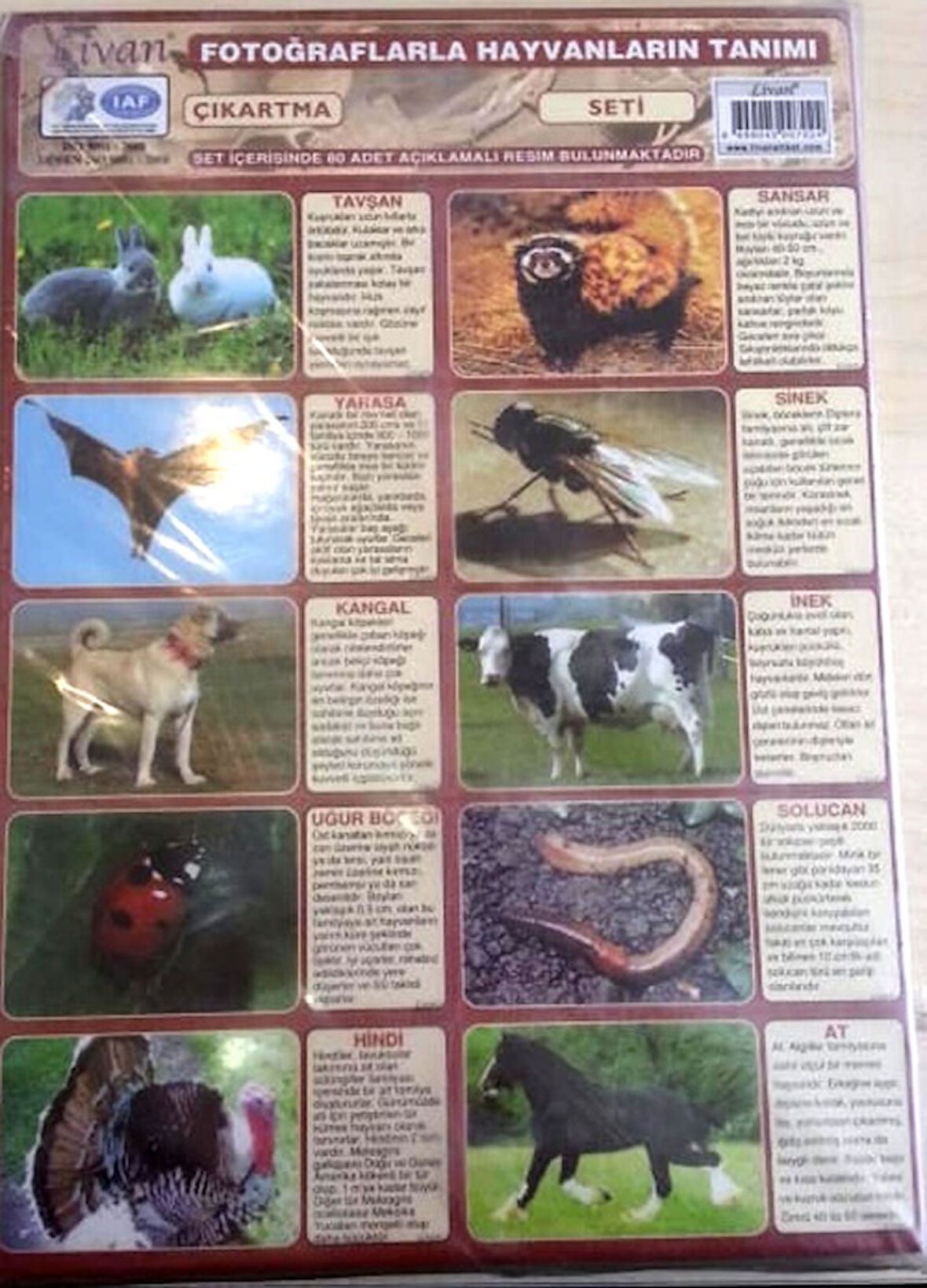 Hayvanlı Çıkartma Seti - 6 adet