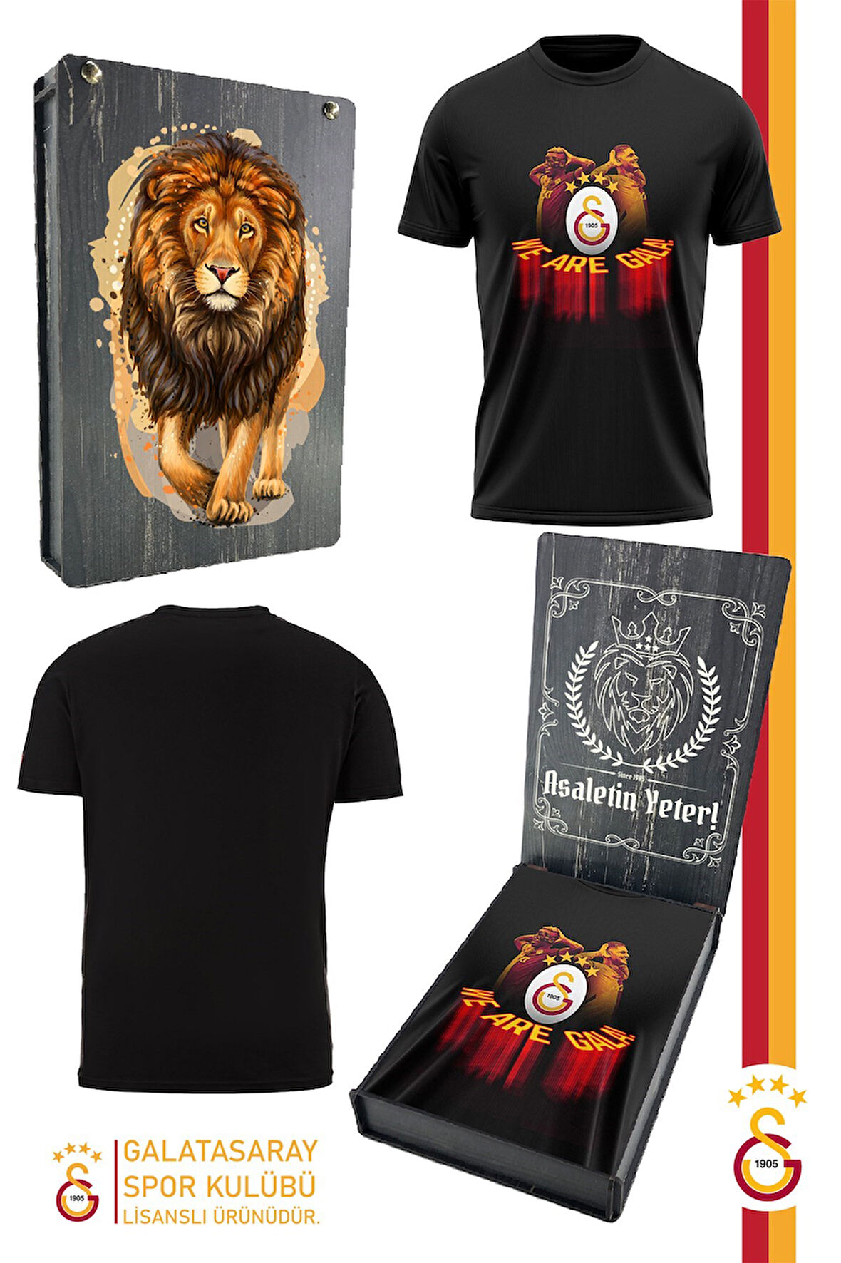 Galatasaray Orijinal Lisanslı We Are Gala T-Shirt Gs Aslan Baskılı Hediyelik Ahşap Kutulu