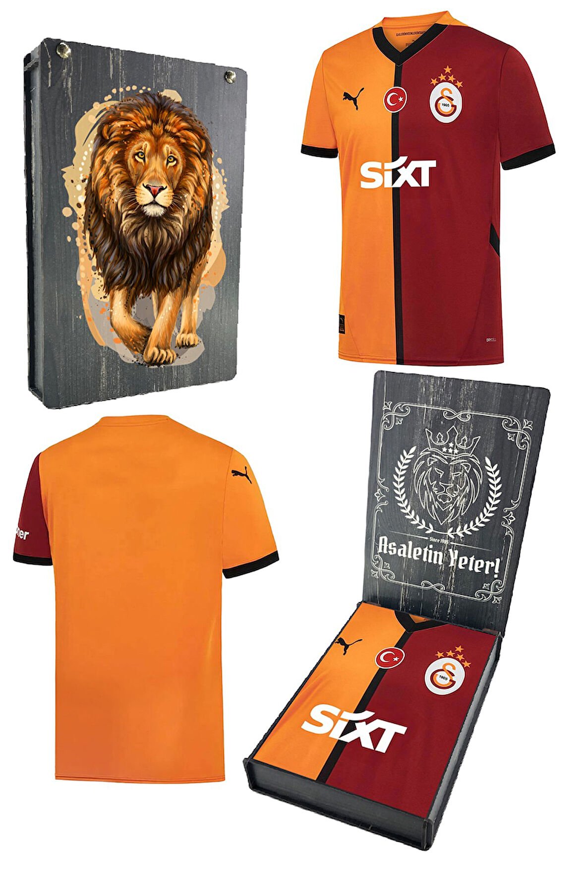 Galatasaray Orijinal Lisanslı 5 Yıldızlı 24/25 Parçalı Forma Aslan Baskılı Hediyelik Ahşa