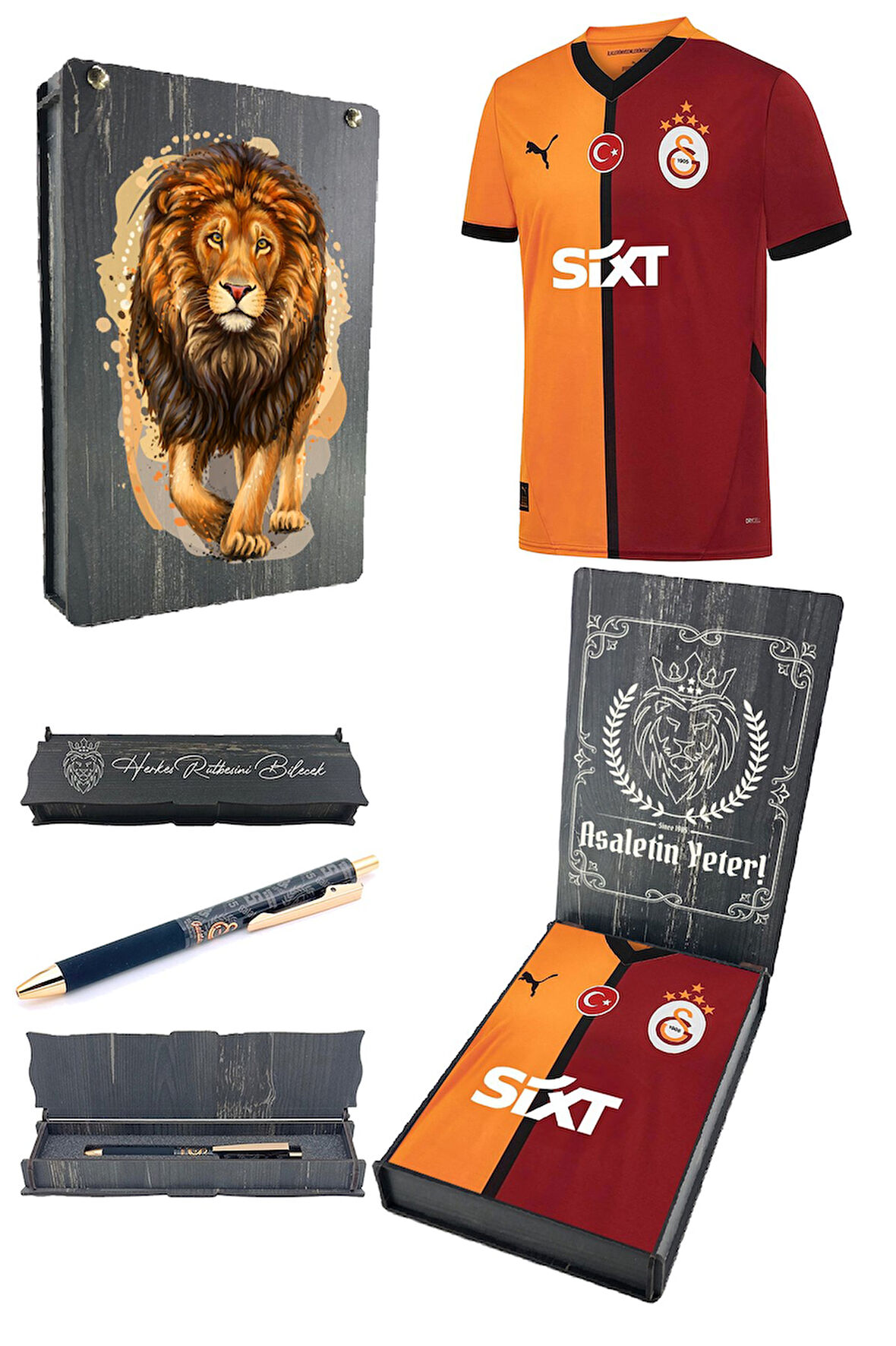 Galatasaray Orijinal Lisanslı 24/25 Parçalı 5 Yıldızlı Forma Hybrit Kalem Set Aslan Baskı