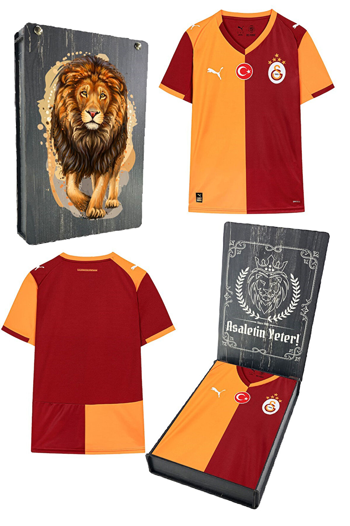 Galatasaray Orijinal 2025/26 Parçalı Yeni Sezon Forma Aslan Baskılı Hediyelik Ahşap Kutul