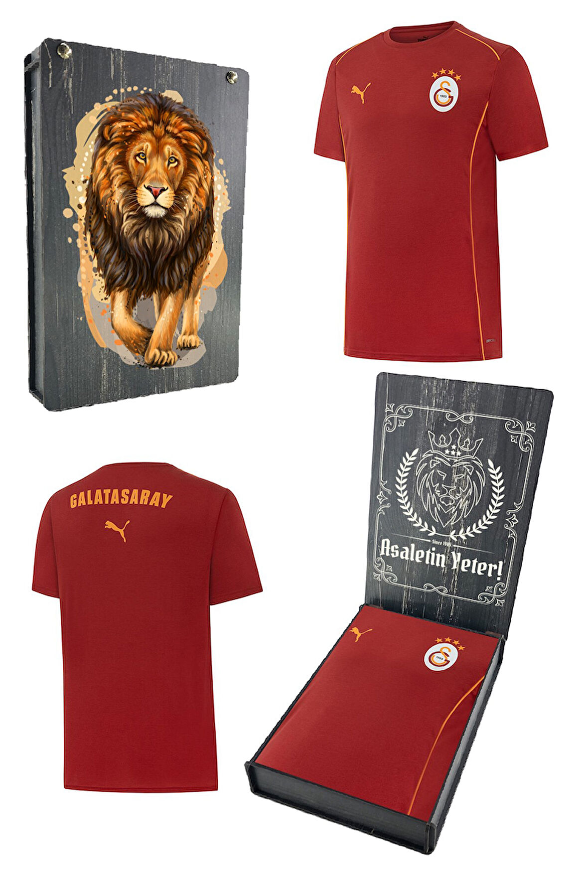 Galatasaray Orijinal Lisanslı 2024/25 Kırmızı Antrenman T-Shirt Gs Aslan Baskılı Hediyelik  Kutu