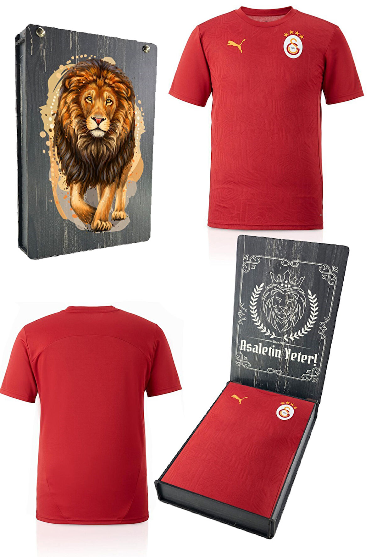 Galatasaray Orijinal Lisanslı Sıfır Yaka Kırmızı A Takım Antrenman T-Shirt Gs Aslan Bask