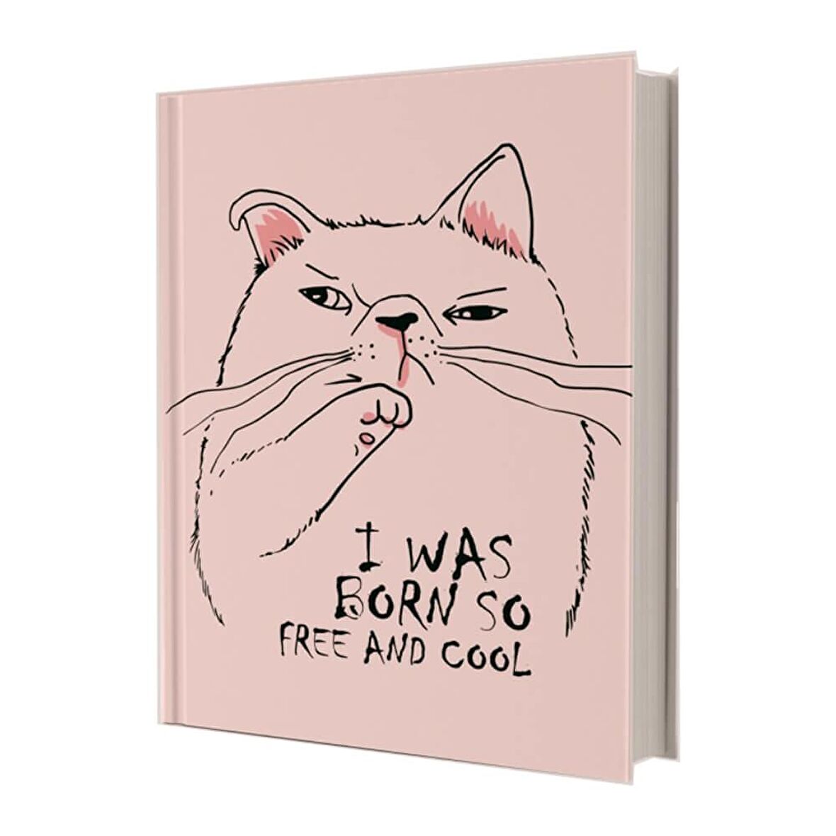 Deffter Free and Cool