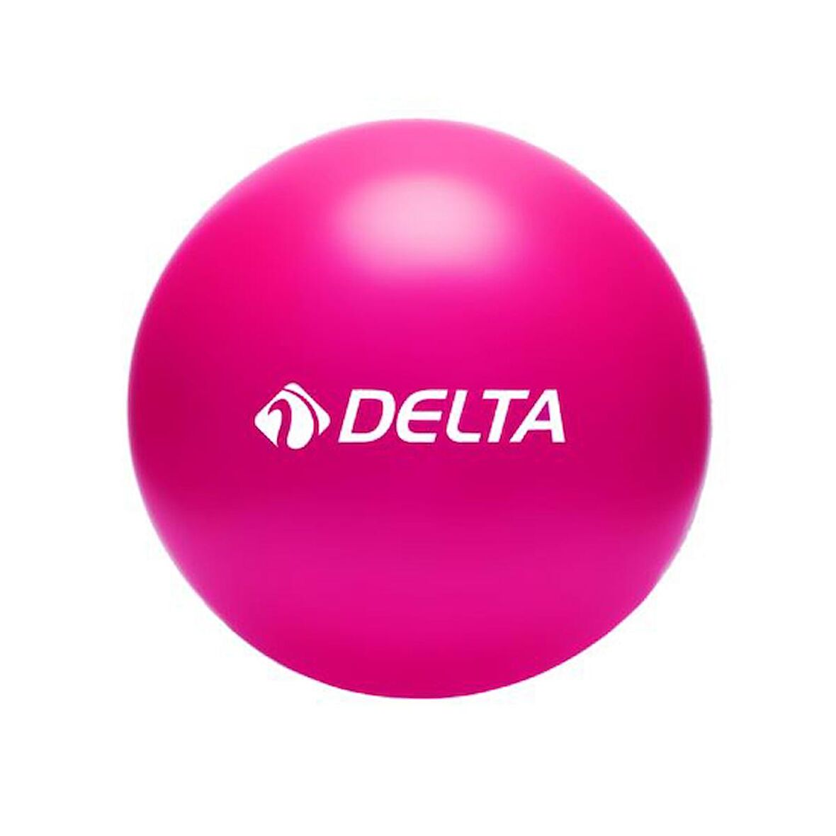 Delta Pilates Topu 25 Cm