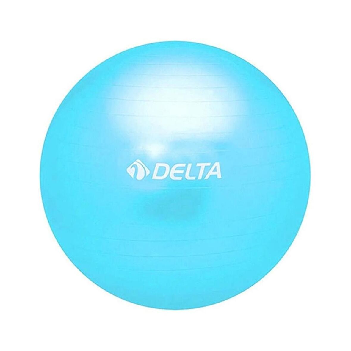 Delta Ptm589 Pilates Topu Mavi