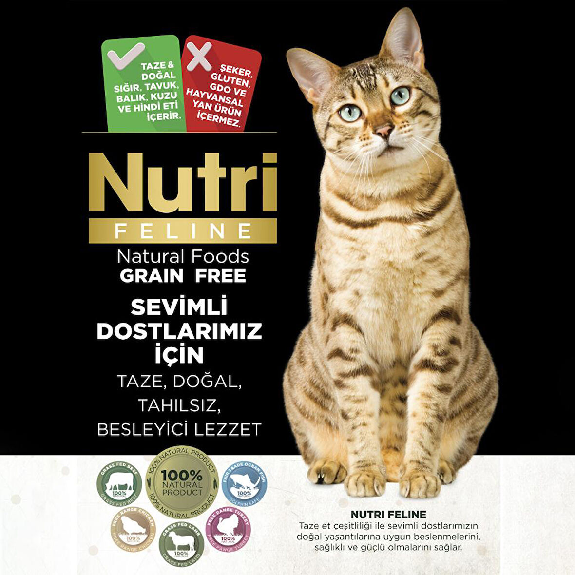 Nutri Feline 10Kg (Böbrek idrar Yolu Sağlığı Için)  Yetişkin Somon Etli Adult Urinary Kedi Maması