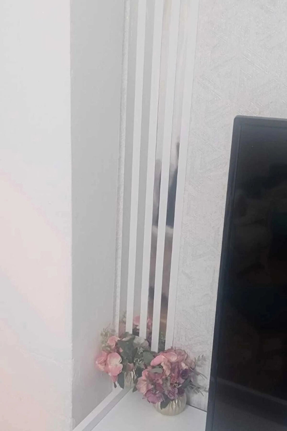 DUVAR ÇITASI KENDİNDEN YAPIŞKANLI 4  cm  GÜMÜŞ/BEYAZ 1 RULO (10 MT)