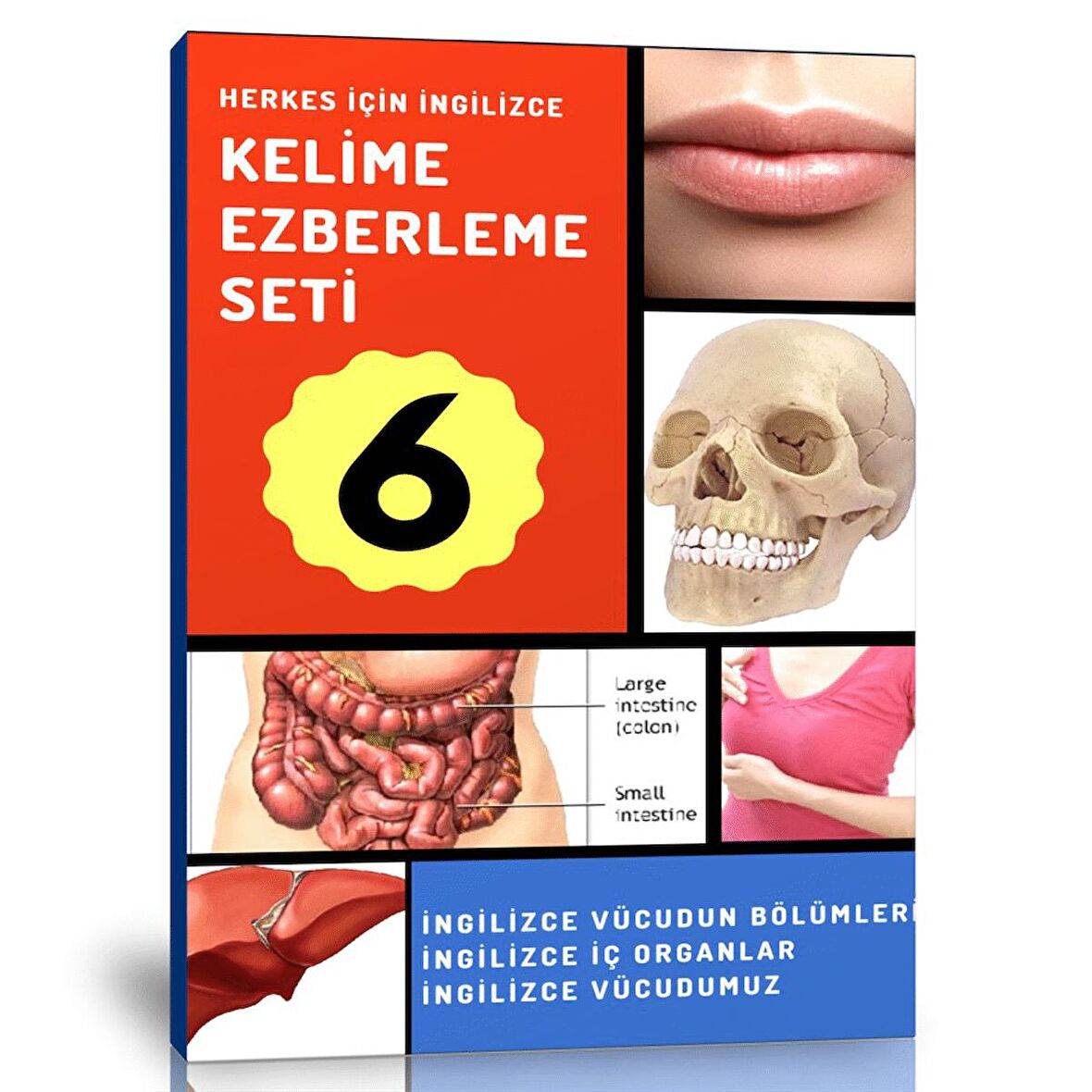 Herkes İçin İngilizce Kelime Ezberleme Modül Kitabı-6