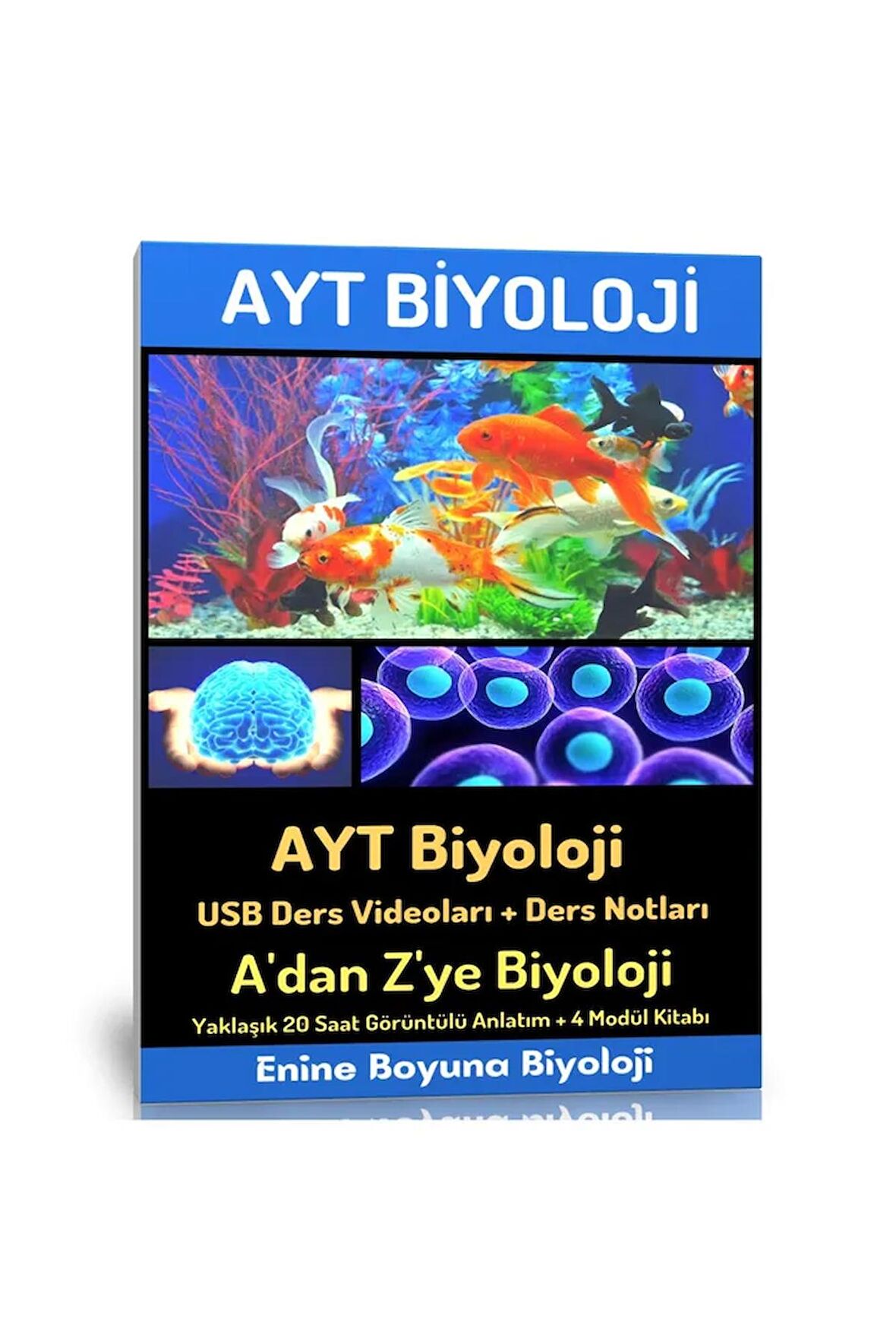 2024 Ayt Biyoloji Modüler Kitap Seti (DERS VİDEOLARI)