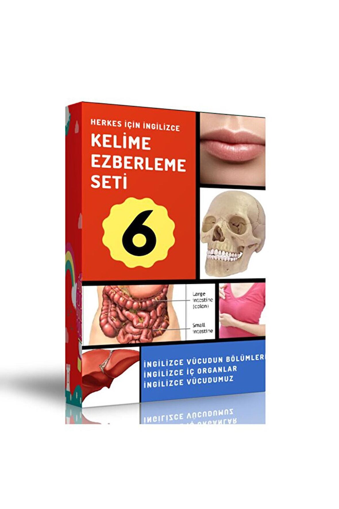 Ingilizce Kelime Ezberleme Modüler Kitap Seti-6