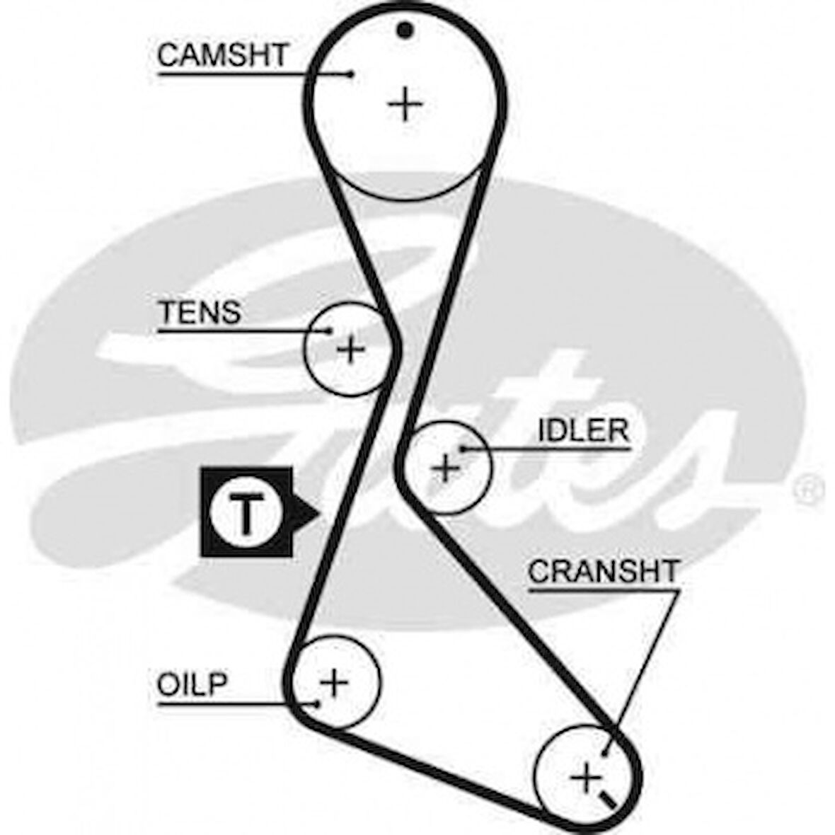 Renault Eksantrık Kayısı (127x190) Megane 2,0 Laguna 2,0 127 Dis (gd127h9,5p190) Ct840 - Gates 5370xs