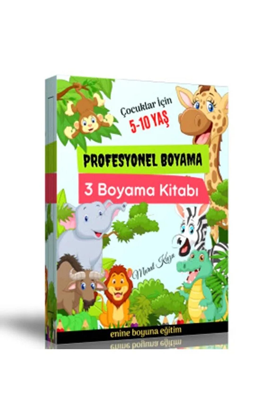 Profesyonel Boyama Kitap Seti 3 Fasikül Kitap