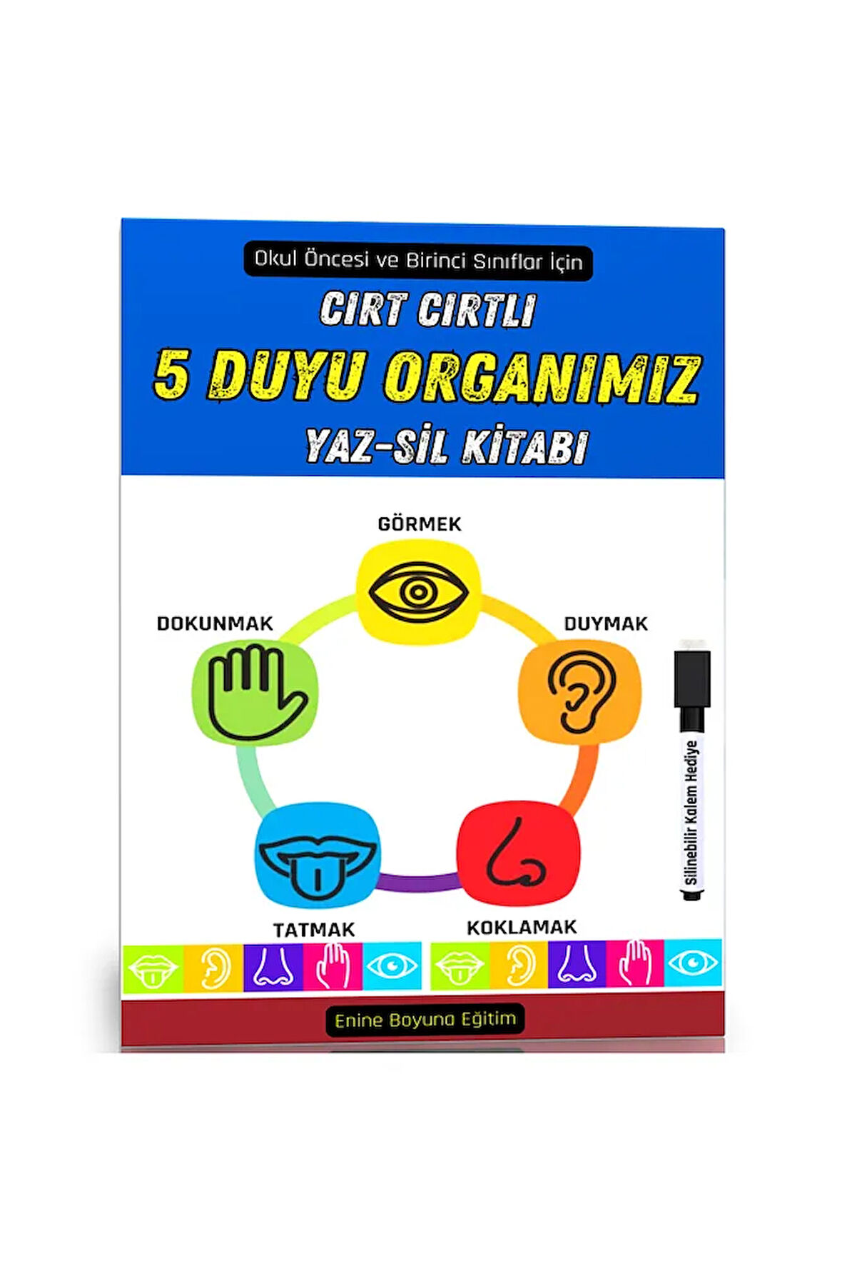 Cırt Cırtlı Beş Duyu Organımız Kitabı
