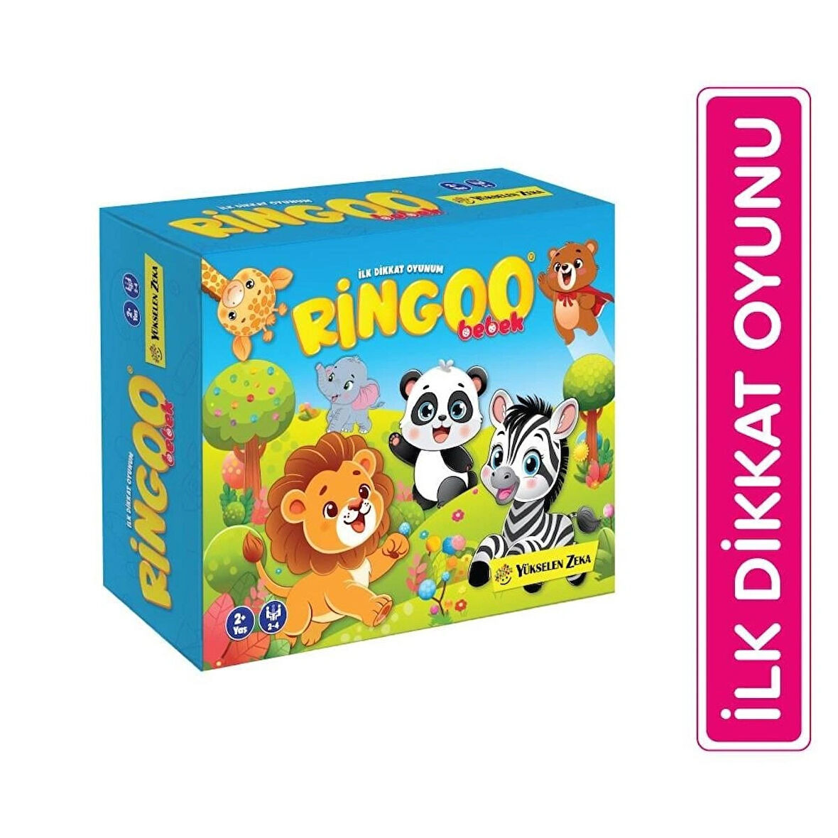 Okul Öncesi İLK Dikkat Oyunu (Ringoo Bebek)