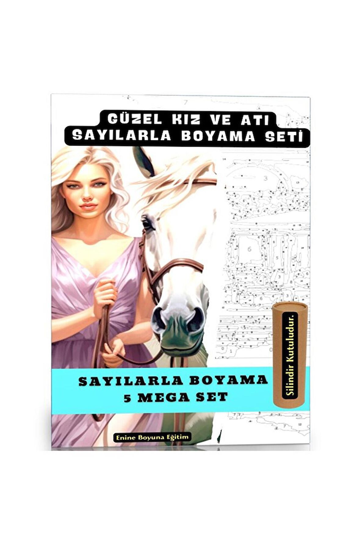 Sayılarla Boyama Tablo Seti (Güzel Kız ve Atı)