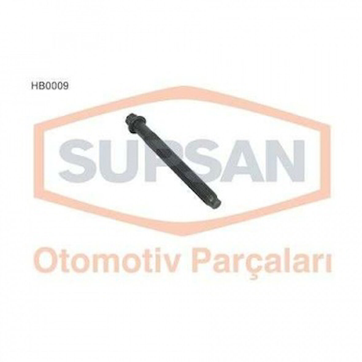 Renault Silindir Kapak Saplaması (10 Adet) Laguna 1,8 8v 93> 2,0 8v 93> (f3p / F3r) Kangoo Megane 1,9d (f8q) - Supsan Hb0009