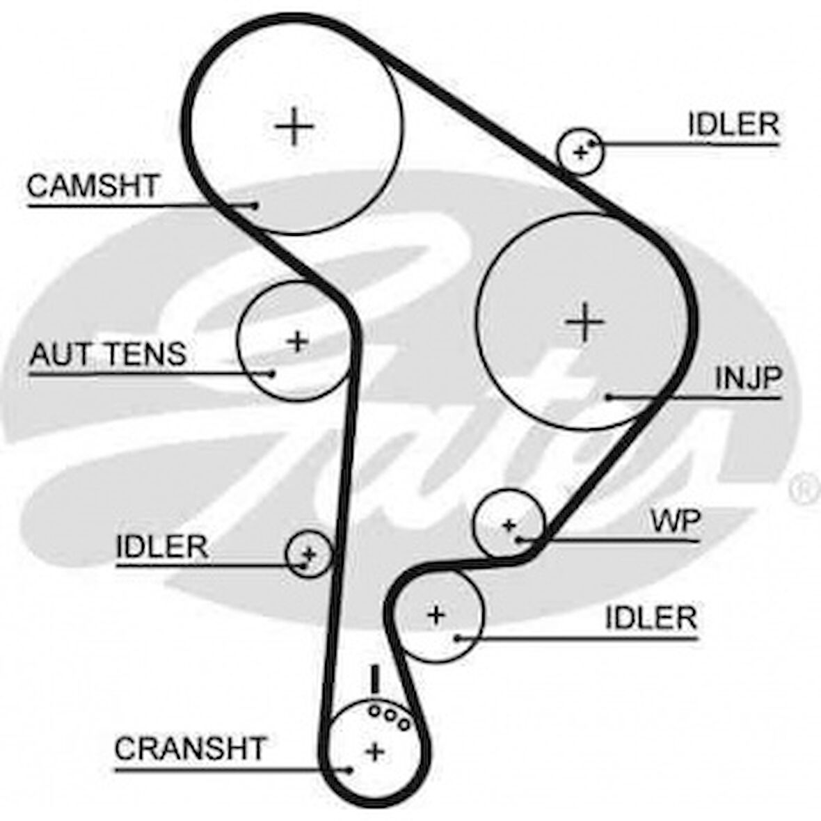 Vw Triger Kayısı - Ct1044 (141 Dis) - Gts 5559xs