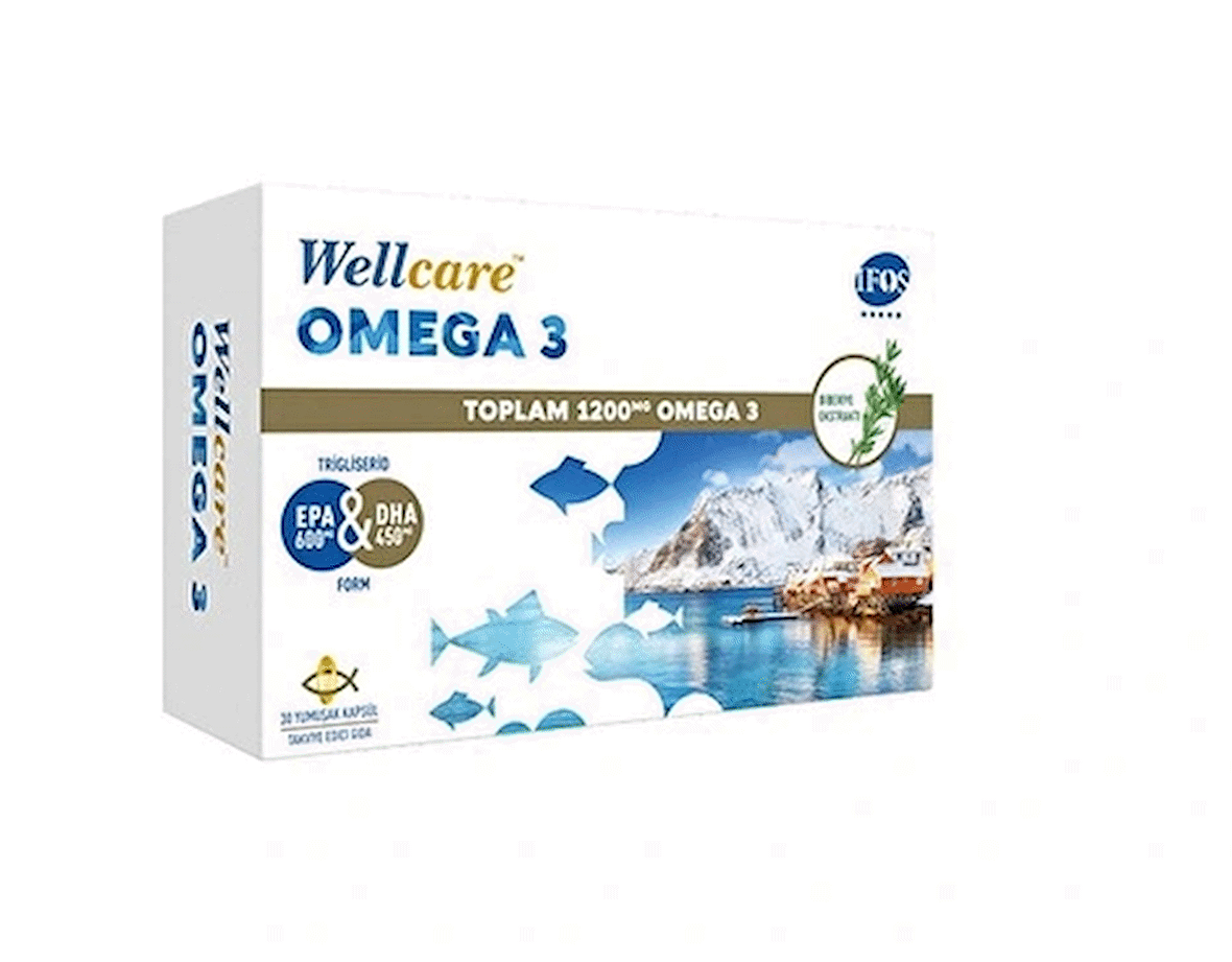 Wellcare Omega 3 Balık Yağı 30 Kapsül