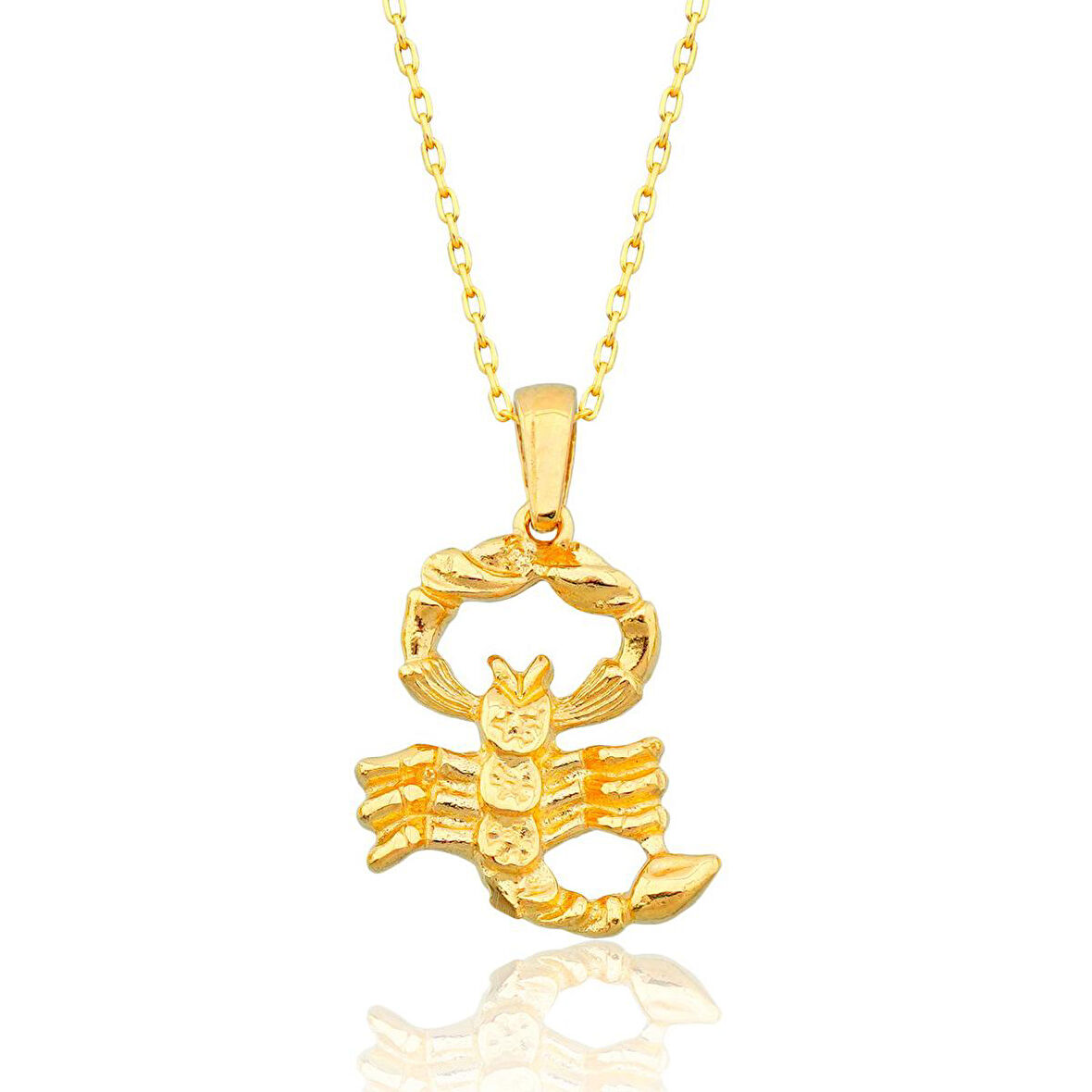 Akrep Burcu Altın Kolye / 22 Ayar