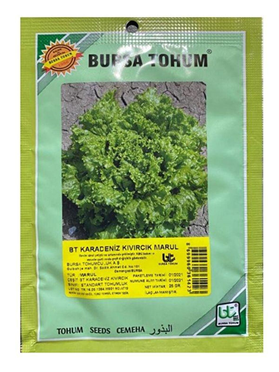 Bursa Tohum Karadeniz Kıvırcık Marul 25 Gr