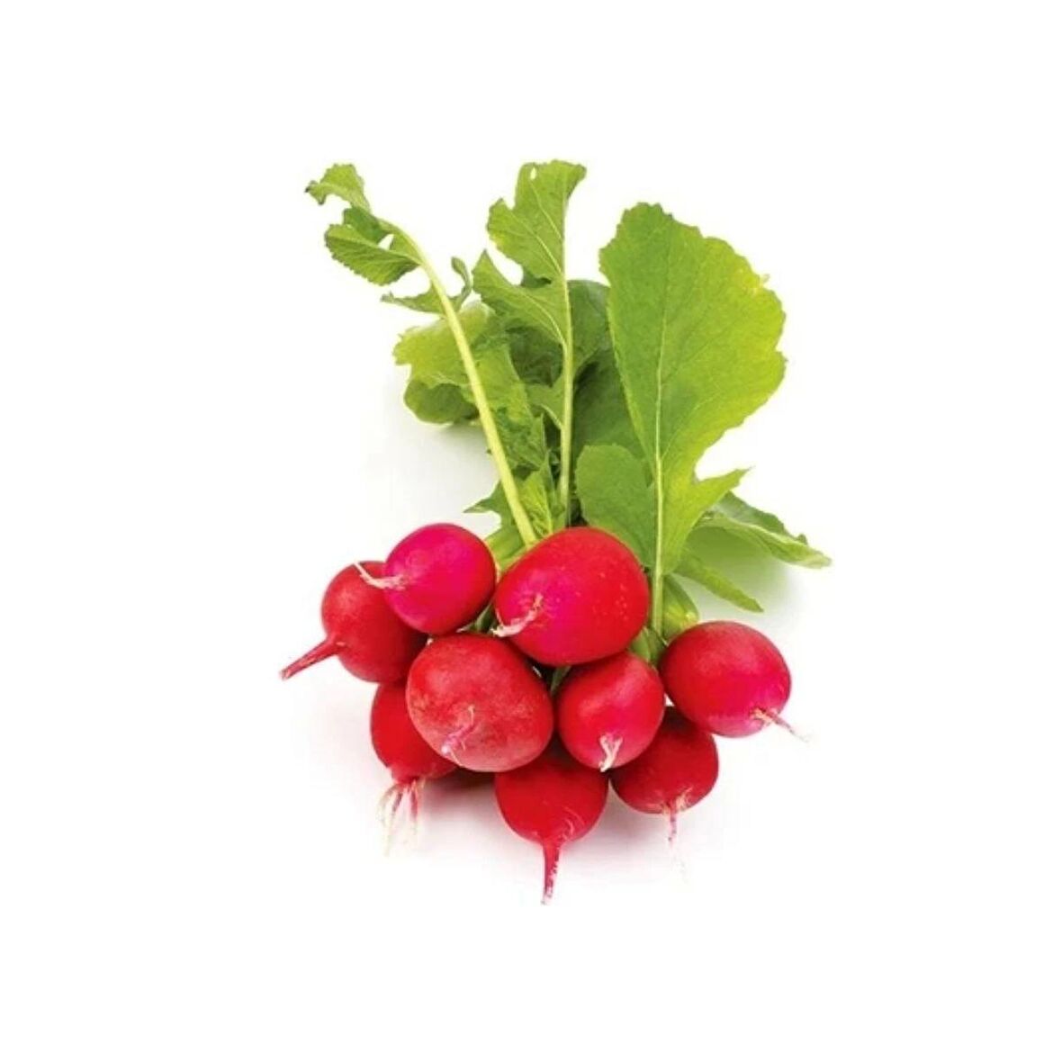 Bursa Tohum Cherry Belle Fındık Turp 25Gr