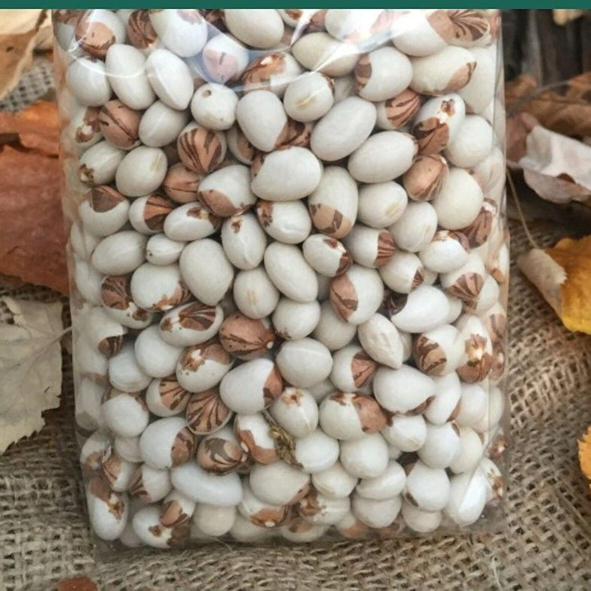 Doğal Geneleksel Empirme Sırık Fasulye Tohumu (10 Tohum)