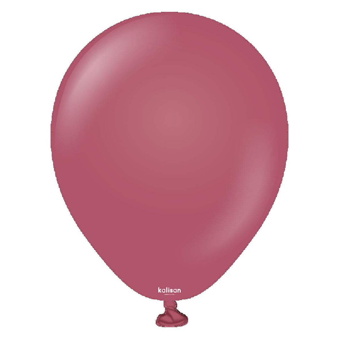 Retro Yaban Çiçeği Pastel Balon 100 lü 5 inç