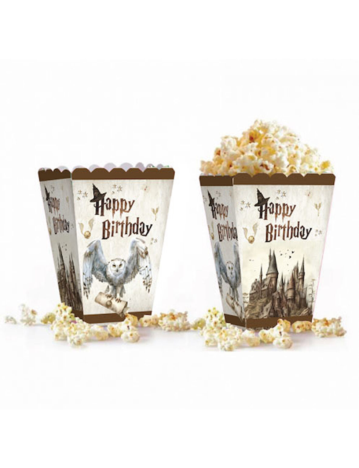 Harry Potter Temalı Mısır Kutusu 8 li