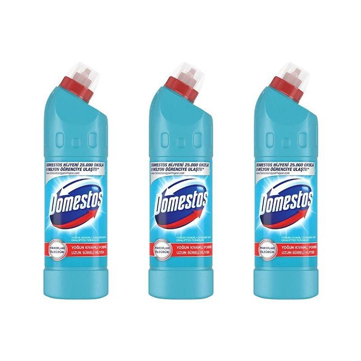 Domestos Yoğun Kıvamlı Çamaşır Suyu Okaliptüs Ferahlığı 750 ml x 3 Adet