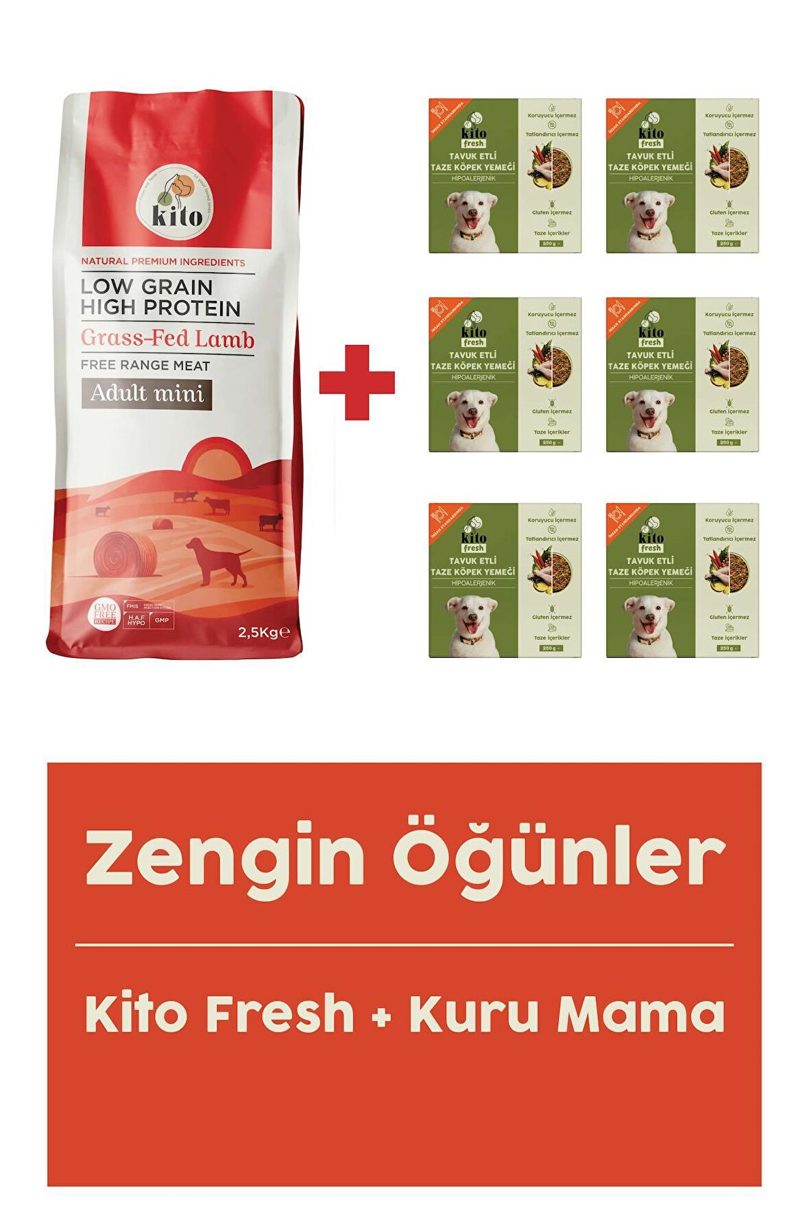Yetişkin Mini Irk Köpek Maması 2.5 Kg + Tavuk Etli Fresh X 6