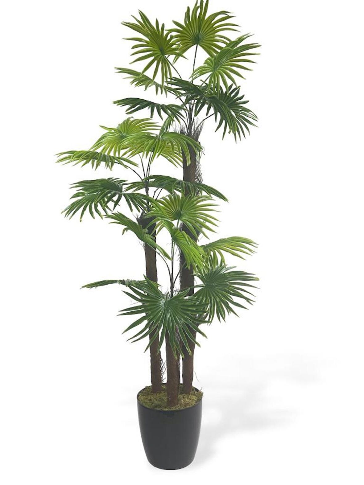 Yapay Ağaç Palmiye Fanpalm 3Katlı 24Yaprak 130*65cm