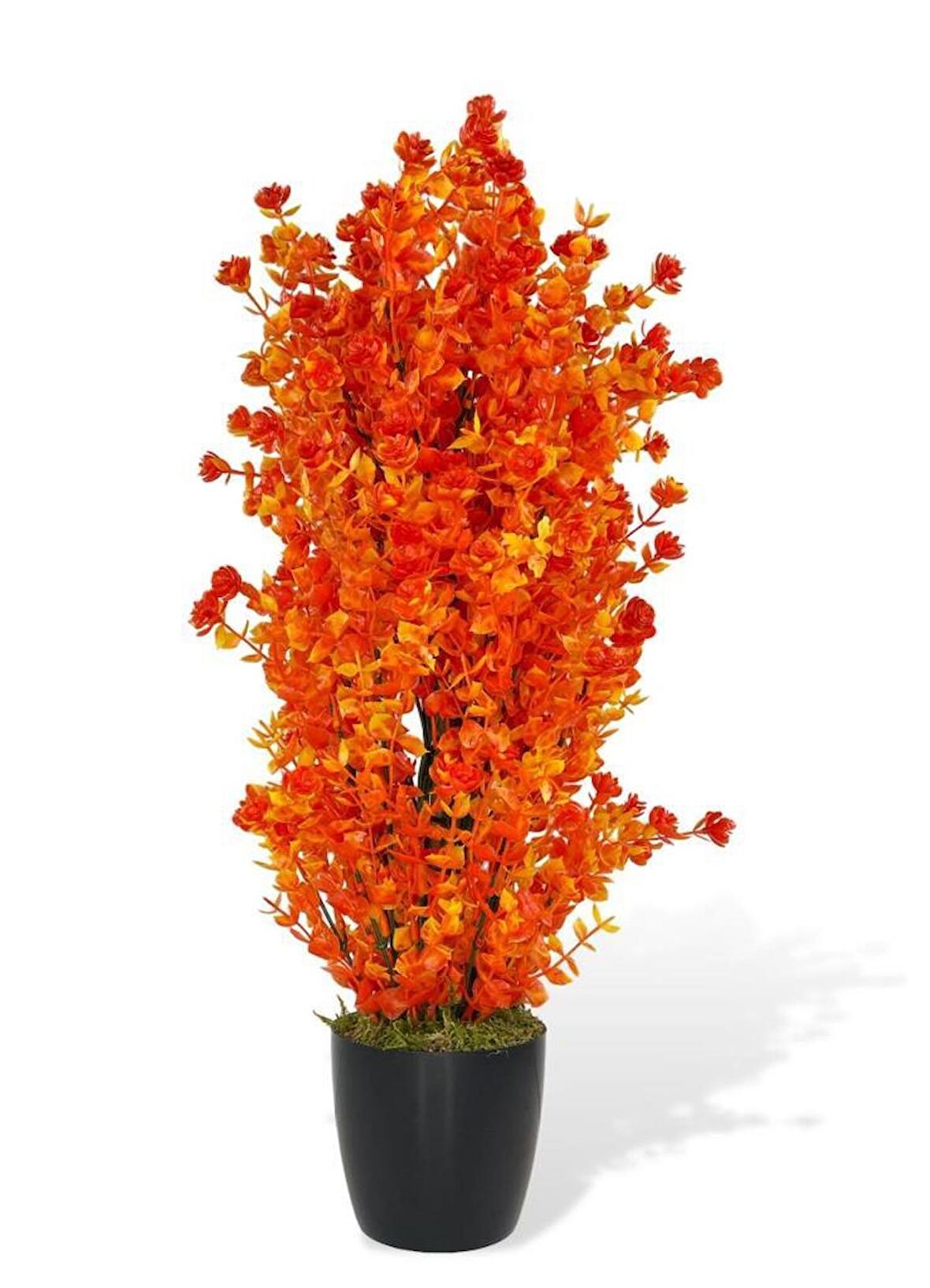 Yapay Çiçek Siyah Saksıda Turuncu Şimşir Ağacı 55cm