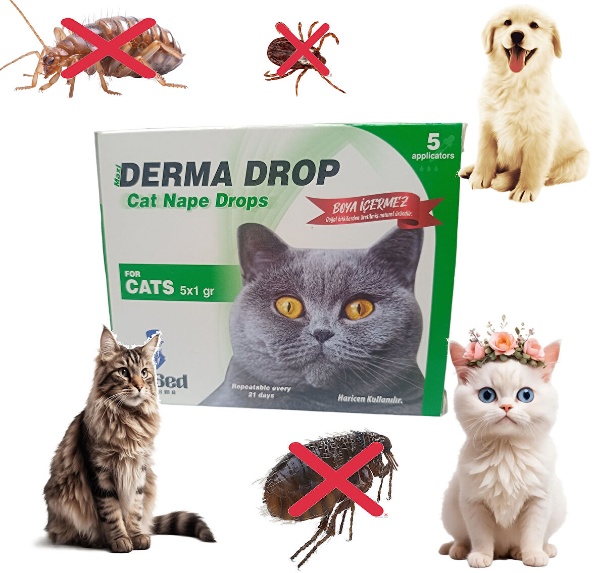 Girist Derma Drop Kedi ve Köpekler İçin Etkili Doğal Bit Pire ve Kene Damlası 5x1 Ml