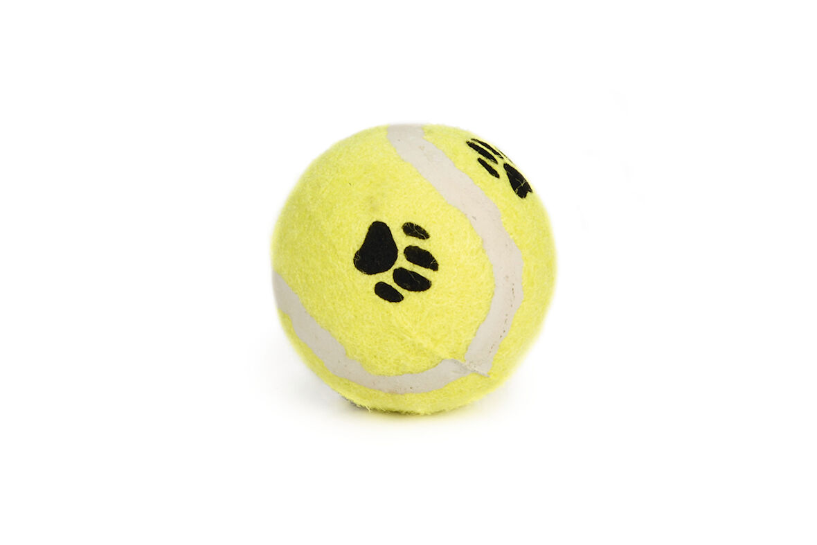 Beeztees Köpek Oyuncağı, Tenis Topu, Sarı, 6,5cm
