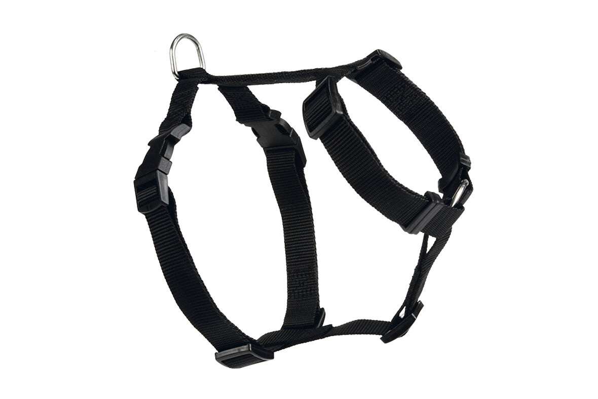 Beeztees Köpek Araç İçi Göğüs Tasması, Siyah, 75-100cm Göğüs Çapı, 25mm