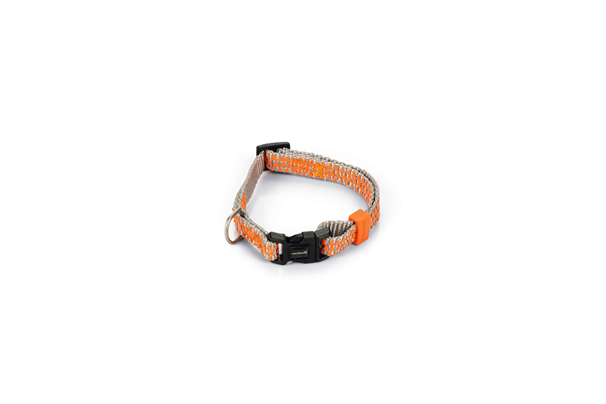 Beeztees Köpek Boyun Tasması, Açık Gri Turuncu, 20-30cm