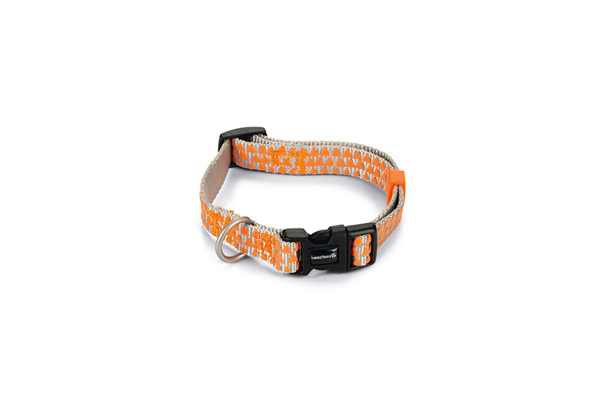 Beeztees Köpek Boyun Tasması, Açık Gri Turuncu, 26-40cm