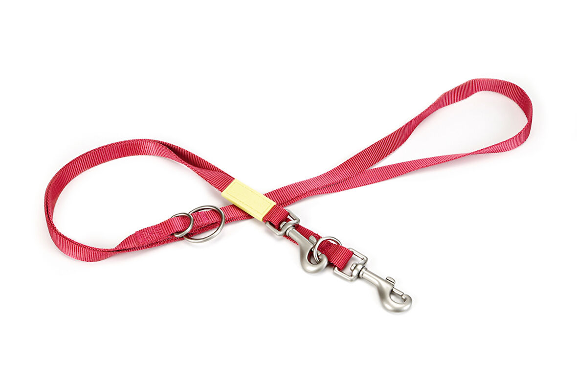 Beeztees Köpek Gezdirme Kayışı, Pembe, 200cm, 20mm