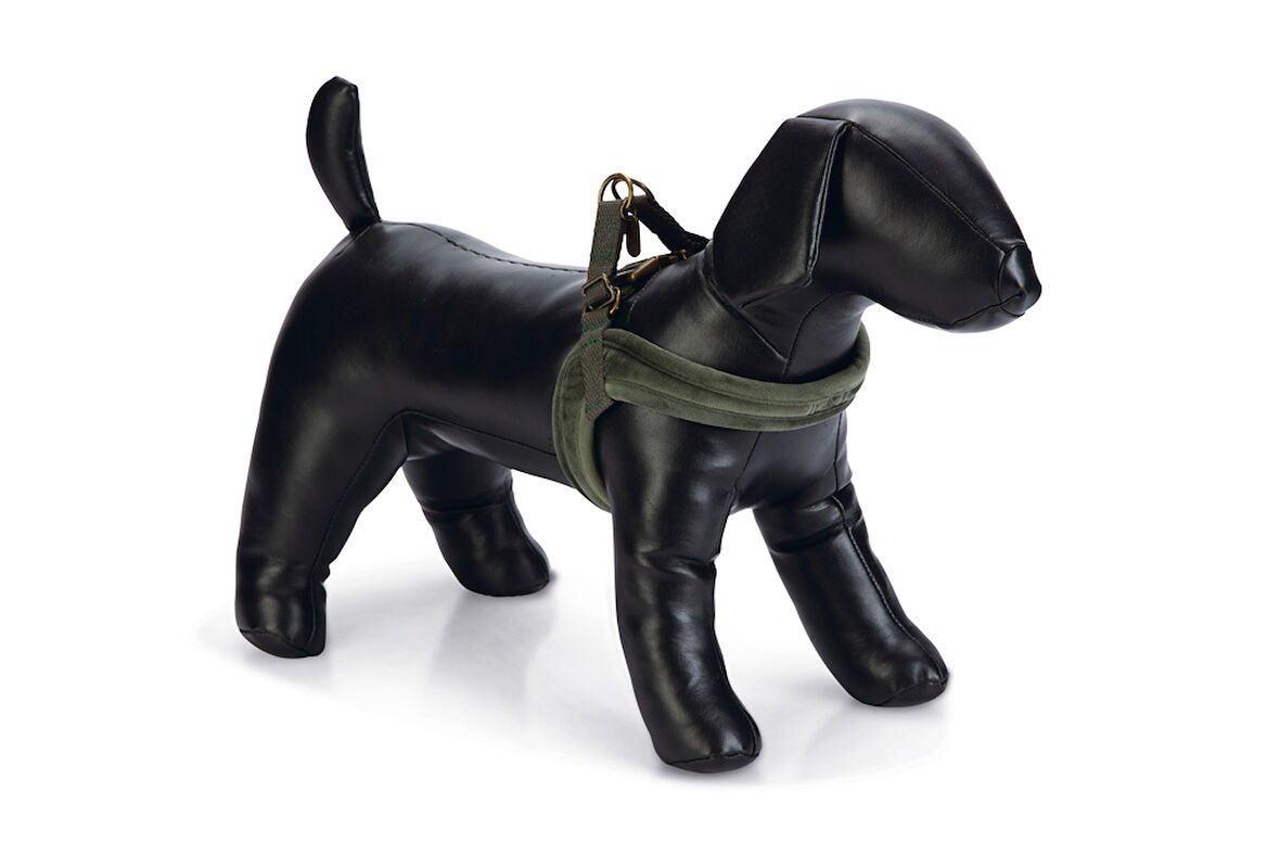 Beeztees DBL Köpek Göğüs Tasması, Velur, Yeşil, XXS, 15mm x 36cm