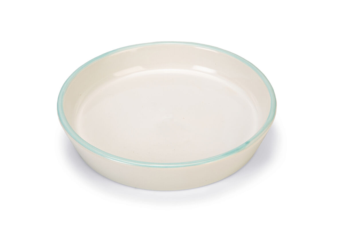 Beeztees Yavru Kedi Mama Su Kabı, Seramik, Gri Mint, 17,5cmx3,5cm