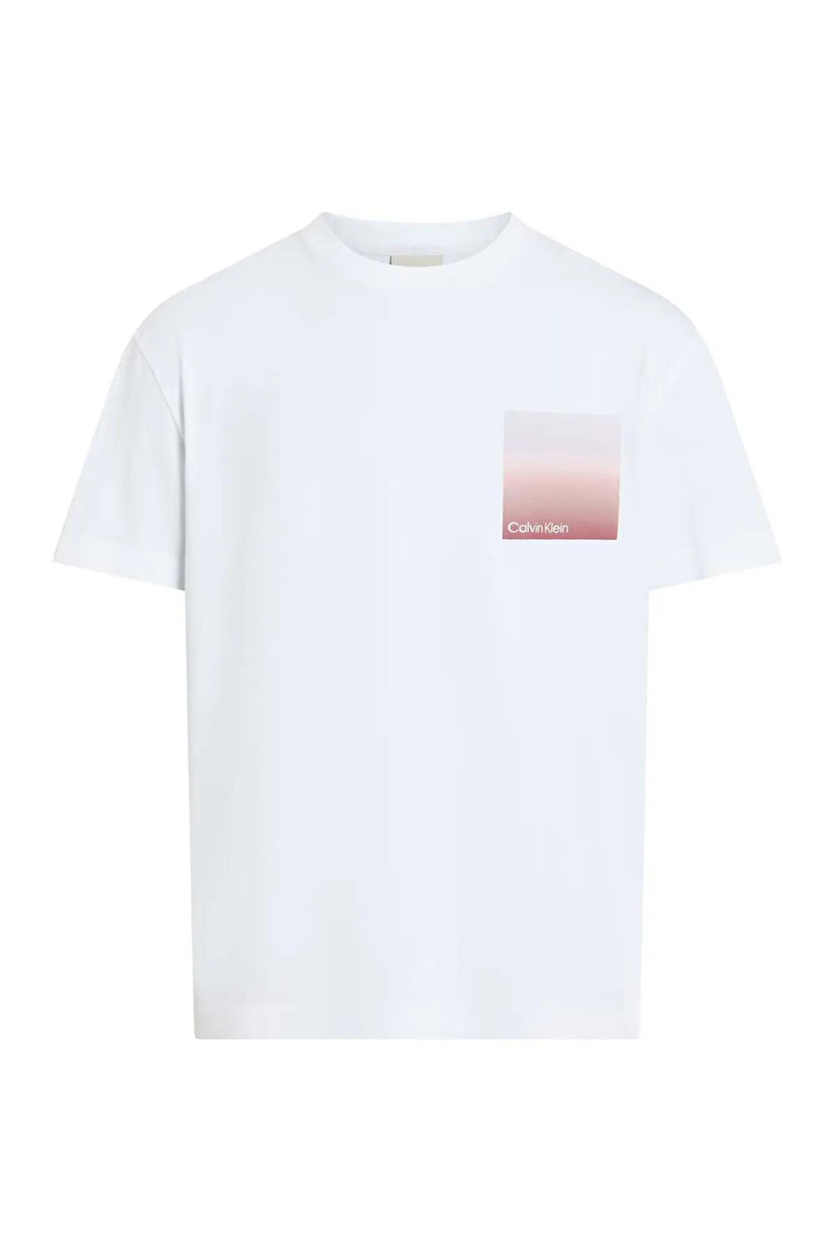 Calvin Klein Erkek Sırt Bölüm Çizgi Ve Calvin Klein Yazı Desenli T-Shirt K10K114164-YAF