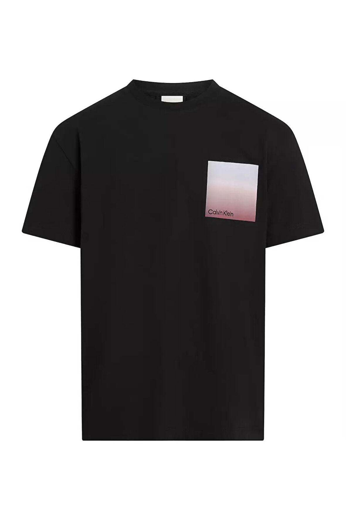 Calvin Klein Erkek Sırt Bölüm Çizgi Ve Calvin Klein Yazı Desenli T-Shirt K10K114164-YAF