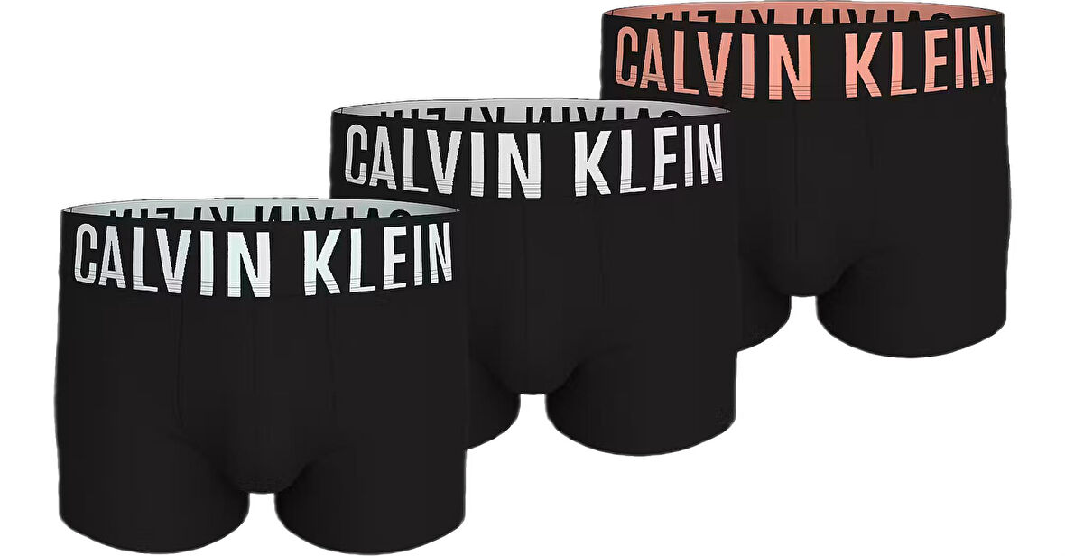 Calvin Klein Erkek 3'lü Siyah Boxer 000NB3775A 