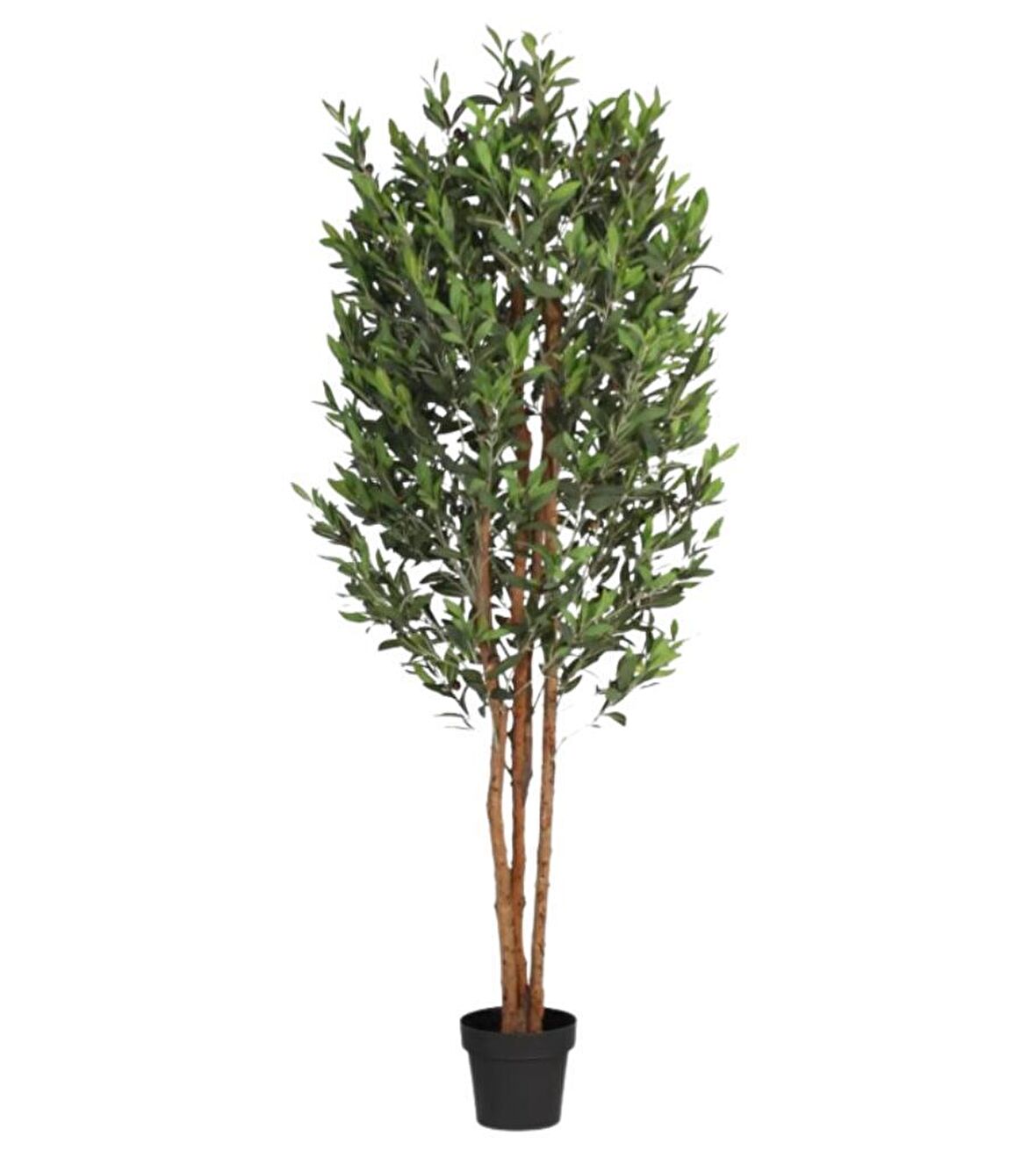 Yapay Zeytin Ağacı 200cm 3 Gövdeli Doğal Gerçek Görünümlü Yapay Ağaç