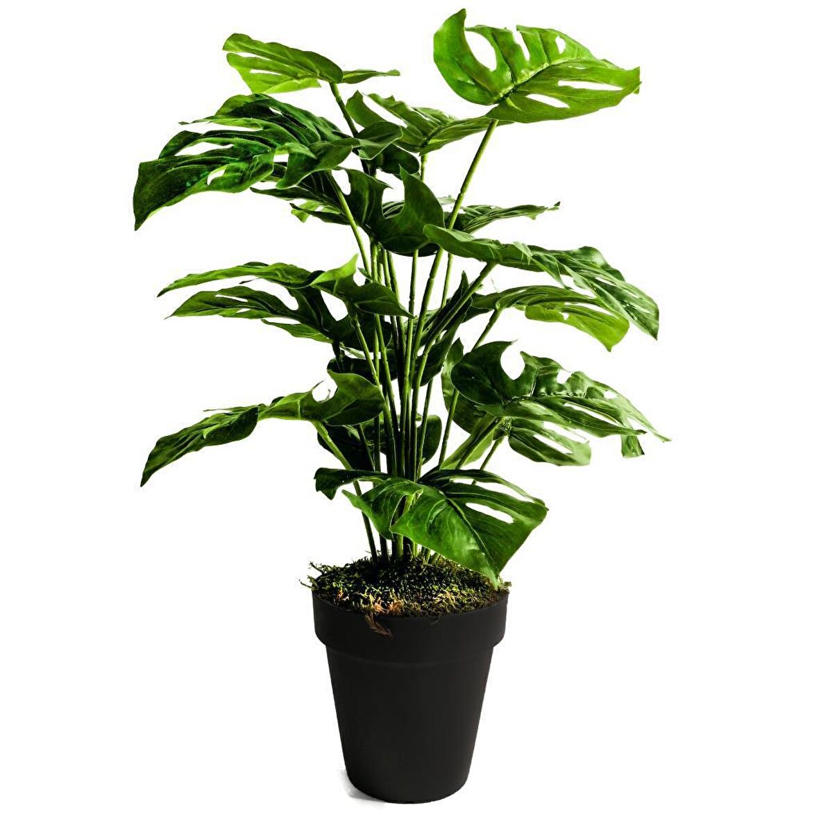 Yapay Ağaç Salon Bitkisi Monstera 70 cm 18 Yaprak Antrasit Saksıda