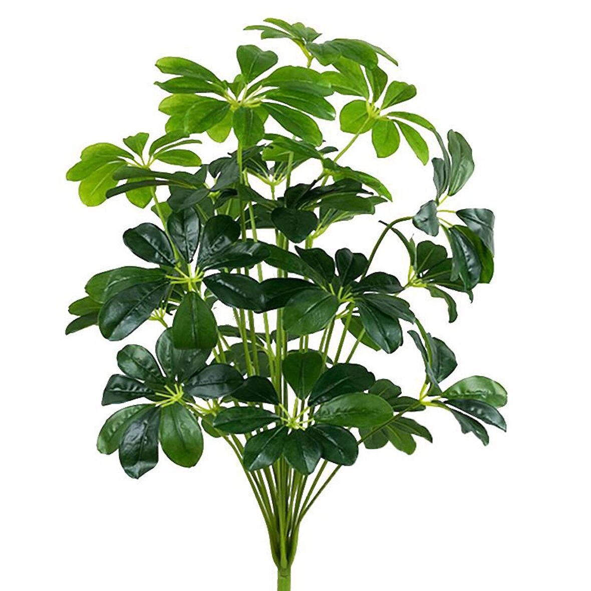 Yapay Çiçek Demet Şeflera Bitkisi 18Dal 75cm Salon Çiçeği Yapay Bitki Pachira Macrocarpa