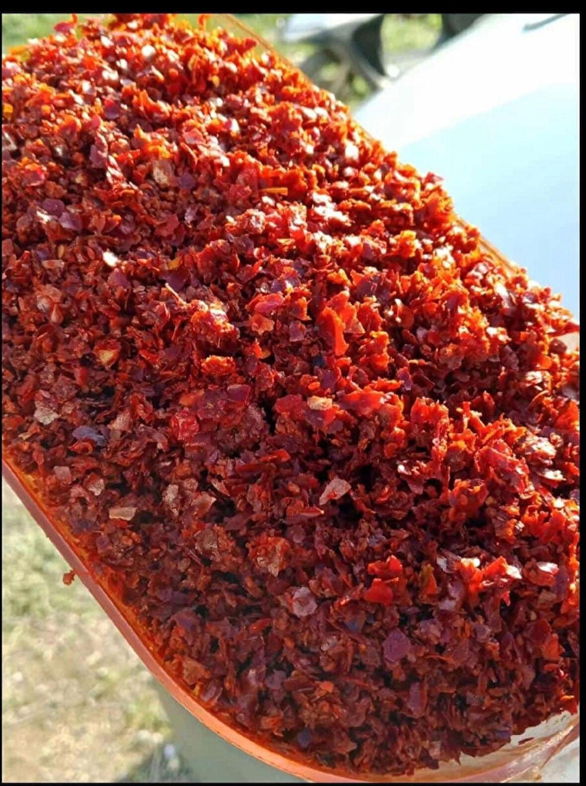 Yaprak pul biber 5 kg