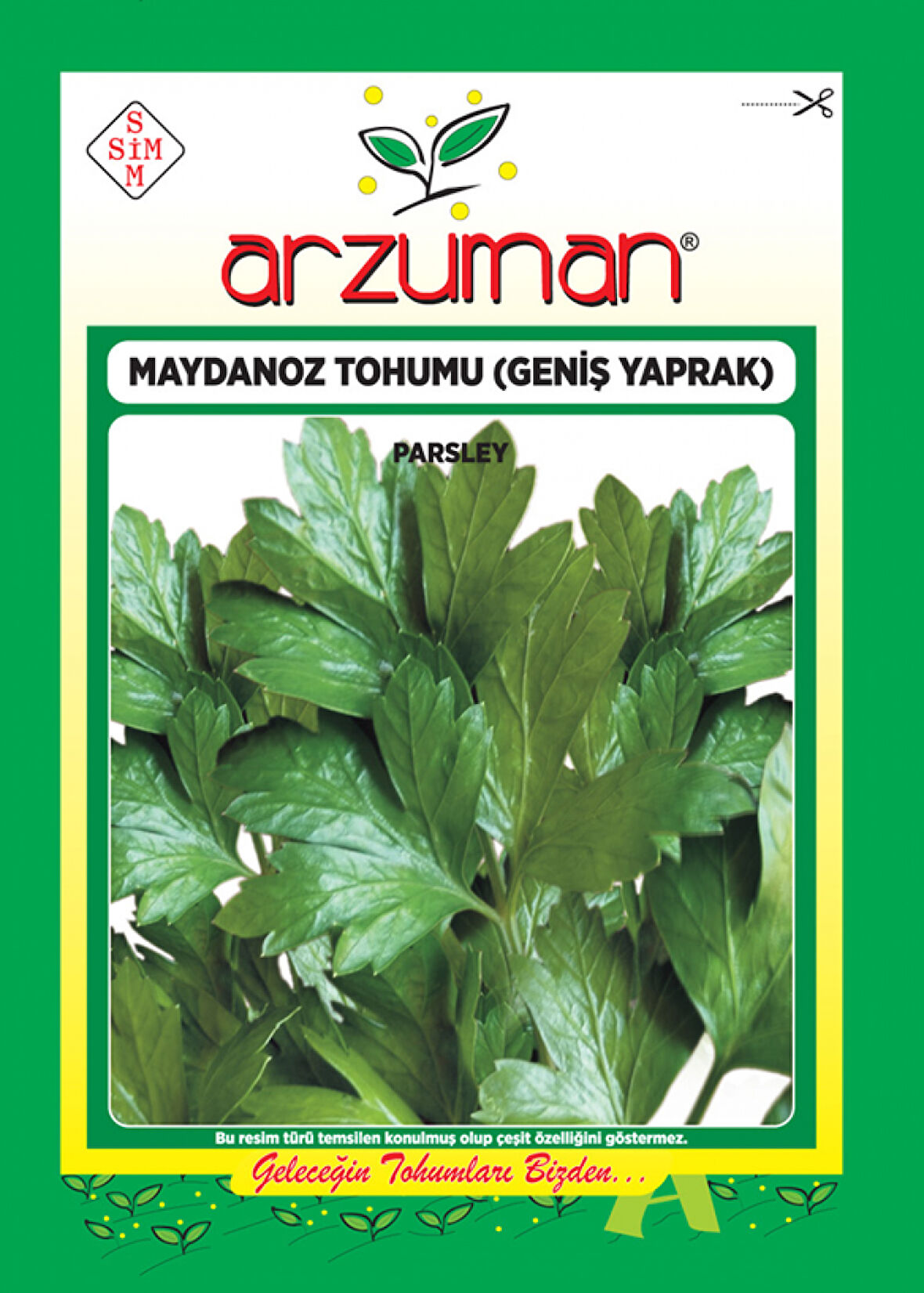 Maydanoz Tohumu Geniş Yaprak(25gr)